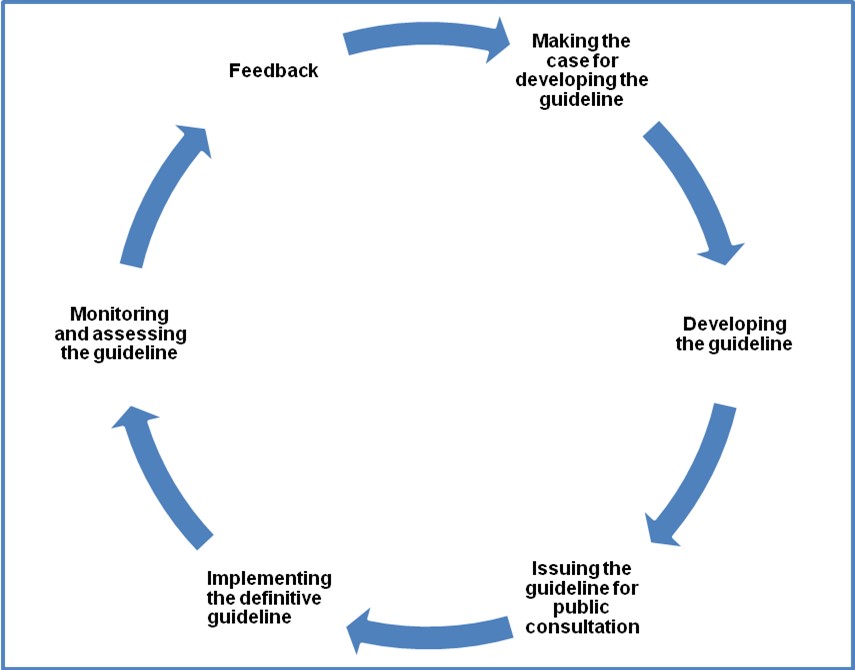 Monitoring and assessing the guideline, Gathering and reviewing evidence, Making the case for developing/ amending the guideline, Developing/ amending the draft guideline, Issuing the draft guideline for consultation, Revising the draft guideline and implementing the definitive guideline